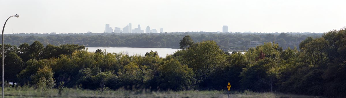 Bluebonnets blooming near the shoreline of White Rock Lake in Dallas