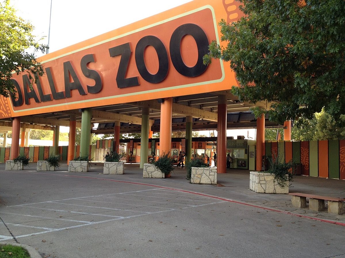 Visitors walking through the Dallas Zoo on a spring day